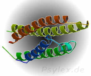 Apolipoprotein E