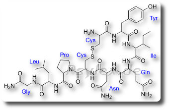 Chemische Strukturformel von Oxytocin