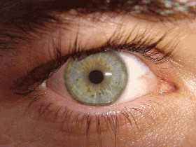 Der ‚Zahlensinn‘ in der Pupille des Auges